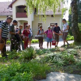 A Diósjenői Erdei Szabadidőpark